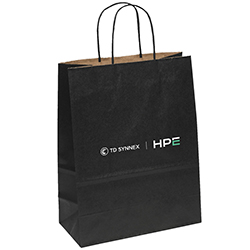 HPE - PAPER GIFT BAG
